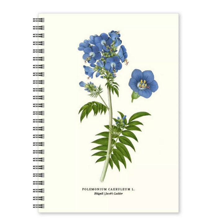 Carnet A5 Bleu or