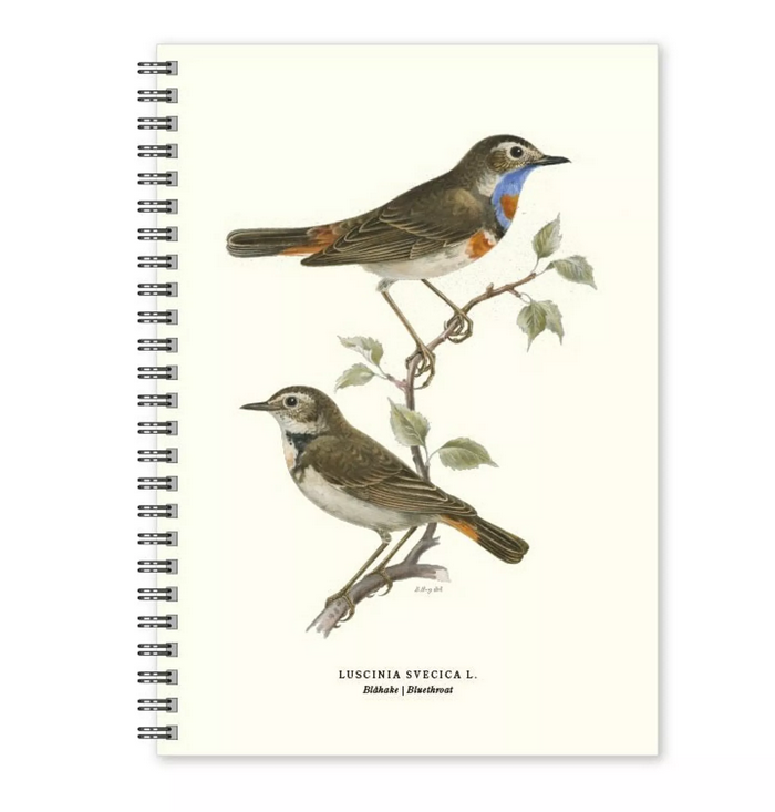 Carnet A5 oiseaux