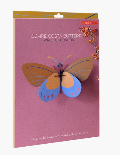 Papillon, Costa ocre
